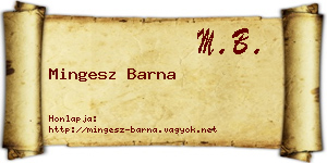 Mingesz Barna névjegykártya